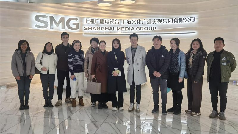 上海影视音响设备批发报价：揭秘行业价格构成与选购要点**
